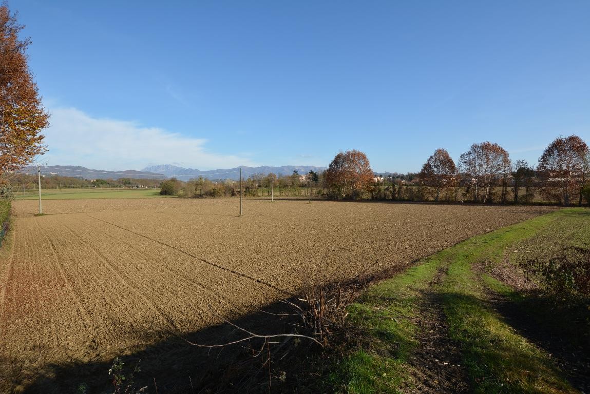 Vendesi Terreno Agricolo